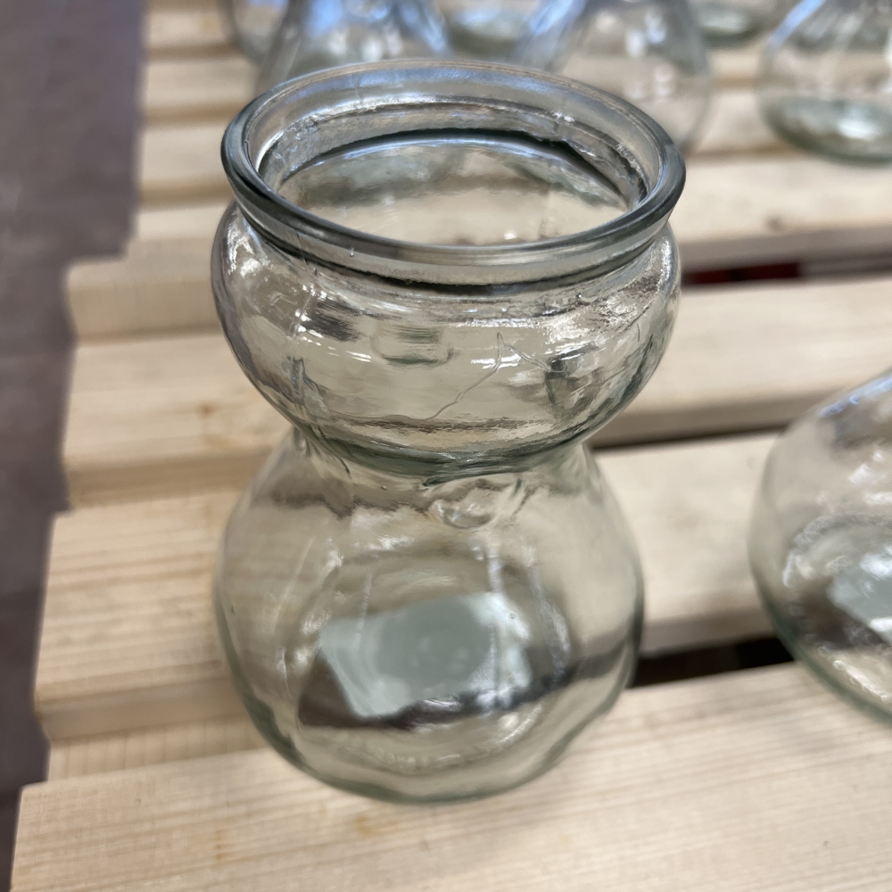 HYACINTH CLEAR GLASS VASE