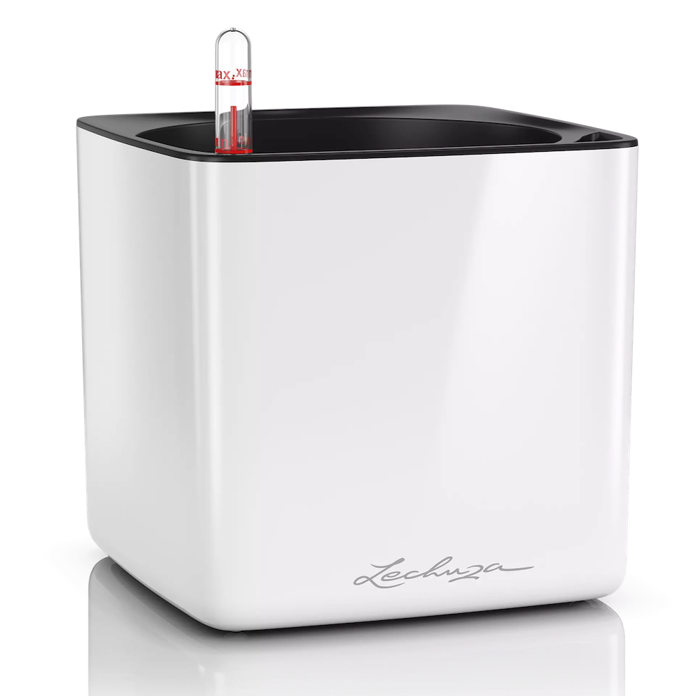 LECHUZA SELF WATERING CUBE 14 IN GLOSSY WHITE for 6IN. PLANTS LECHUZA SELF WATERING CUBE 14 IN GLOSSY WHITE for 6IN. PLANTS