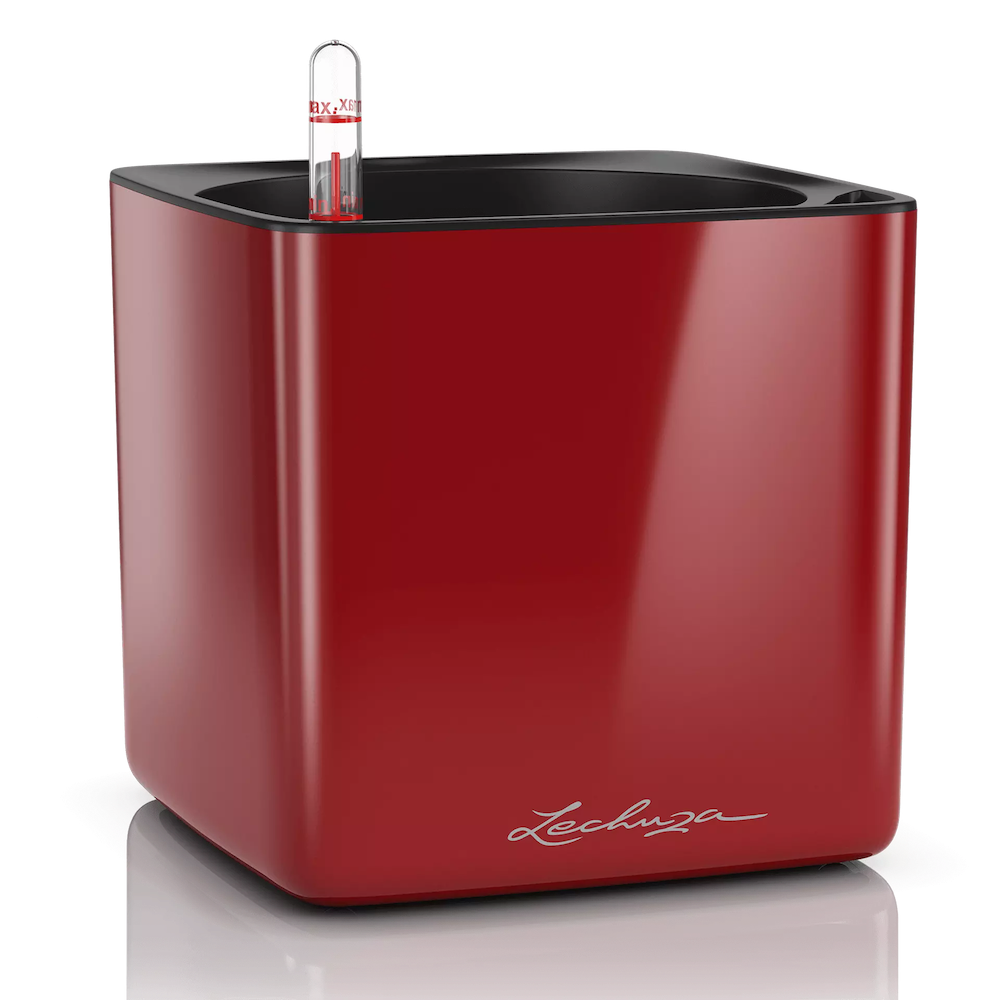 LECHUZA SELF WATERING CUBE 14 IN GLOSSY SCARLET RED for 6IN. PLANTS LECHUZA SELF WATERING CUBE 14 IN GLOSSY SCARLET RED for 6IN. PLANTS