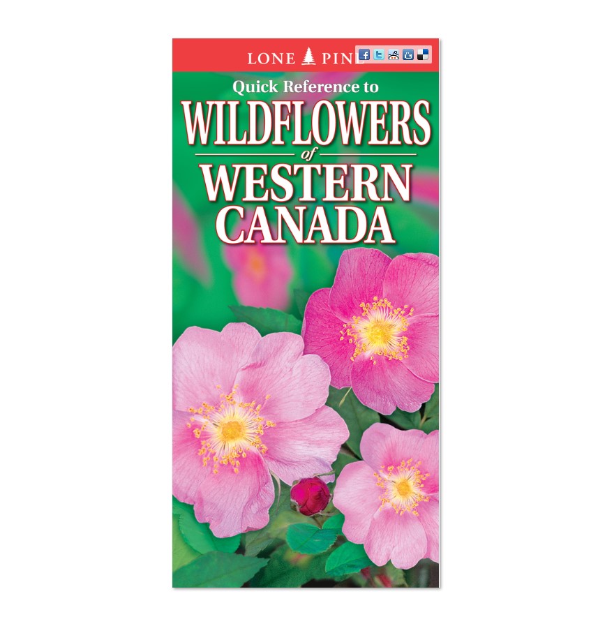 QR TO WILDFLOWERS OF WESTERN CANADA